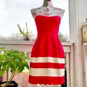 Strapless Zara Mini Dress